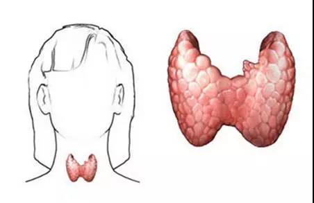 重庆甲状腺医院哪家好