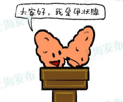 甲状腺